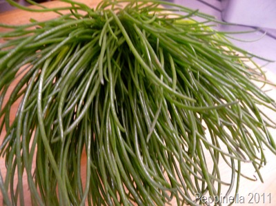 Peppinella kocht dir was: Tagliolini con barba di frate – Tagliolini ...